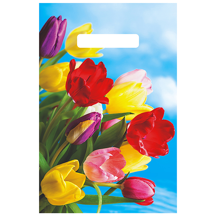 Пакет с вырубной неусиленной ручкой 20х30см (30) (Монро) Пакет с вырубной неусиленной ручкой 20х30см (30) (Монро)