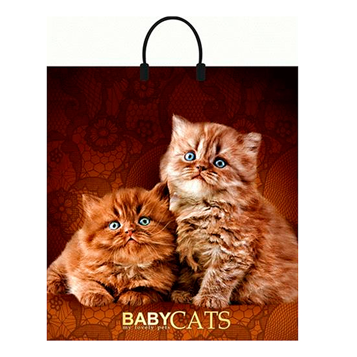 Пакет ПЭ с пластмассовыми ручками 40х44+10см, 100мкм "Бэбикэтс" ламинированный