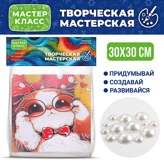 Мозаика алмазная MKX-29 "Котик в очках" 30*30 см.