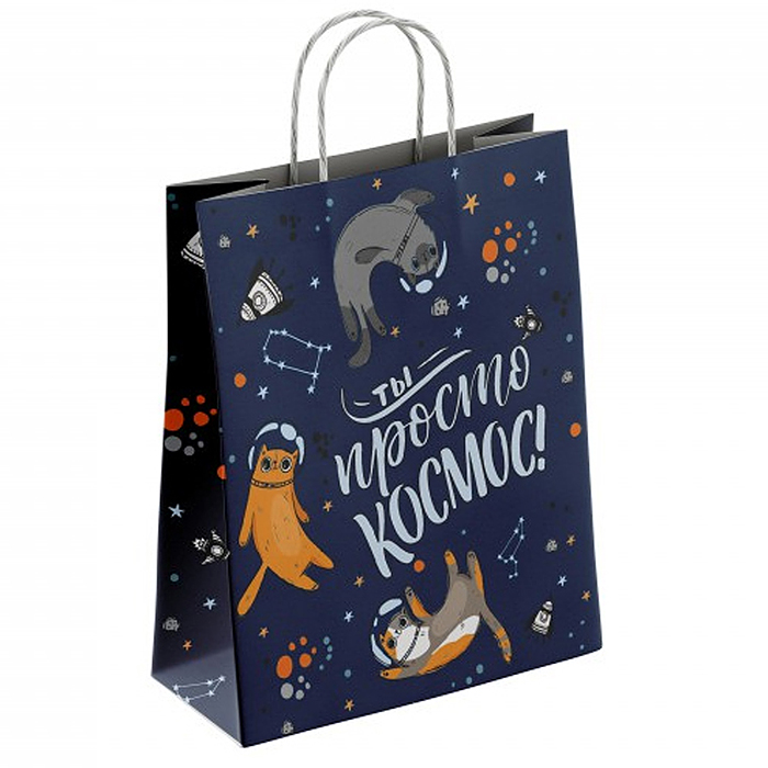 Пакет бумажный "Ты просто космос" 100 г/м2 крученые ручки 450х350х150 Пакет бумажный "Ты просто космос" 100 г/м2 крученые ручки 450х350х150