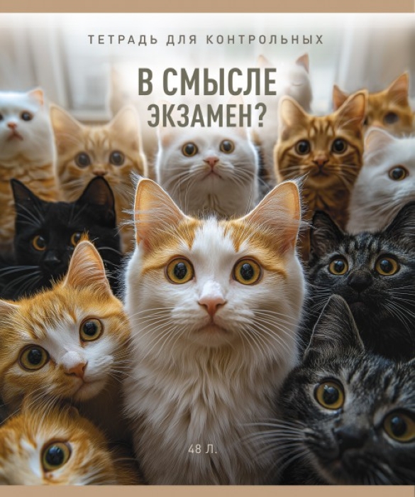 Фото к товару Тетрадь 48л. клетка А5 скрепка S "В смысле?" Премиум 4+0+Ламинация матовая+УФ выб Тетрадь 48л. клетка А5 скрепка S "В смысле?" Премиум 4+0+Ламинация матовая+УФ выб