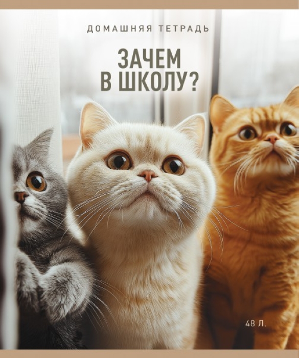Фото к товару Тетрадь 48л. клетка А5 скрепка S "В смысле?" Премиум 4+0+Ламинация матовая+УФ выб Тетрадь 48л. клетка А5 скрепка S "В смысле?" Премиум 4+0+Ламинация матовая+УФ выб