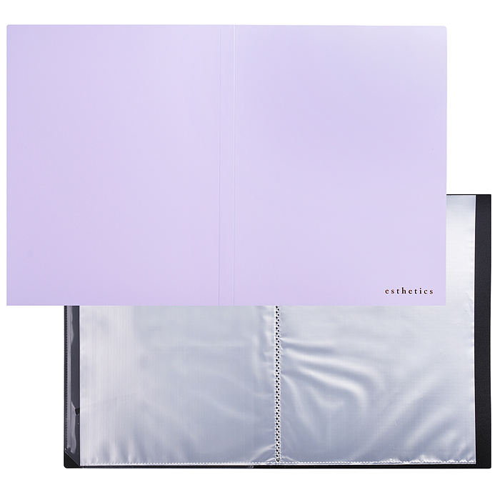 Папка с 40 вкладышами A4 "Esthetics" A4 (235x310x25 мм) полипропилен 700 мкм, фактура "sof