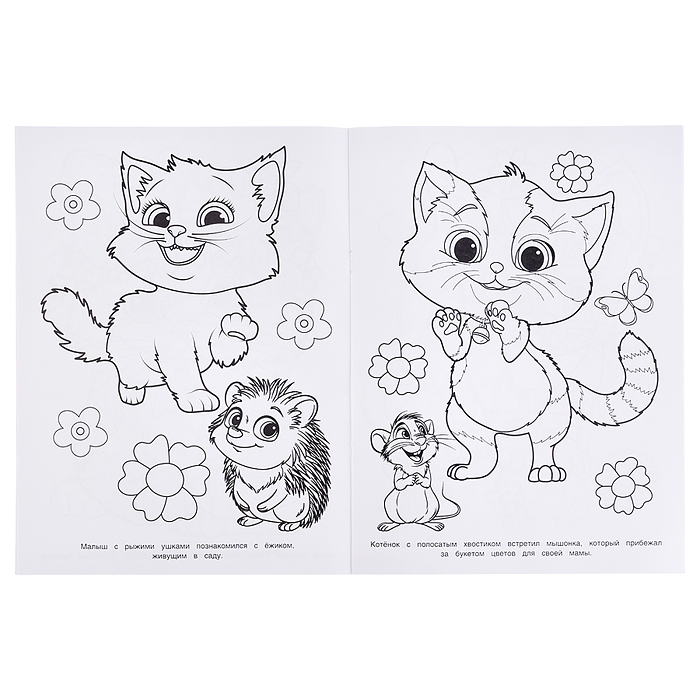 Котята в волшебном саду. Раскраска