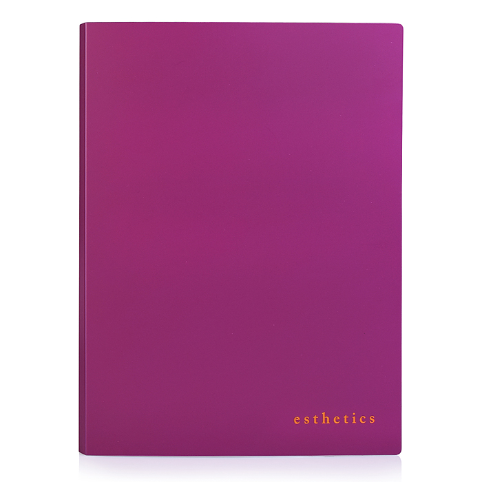 Папка с 20 вкладышами A5 "Esthetics" A5 (165x220x10 мм) полипропилен 700 мкм, фактура "sof