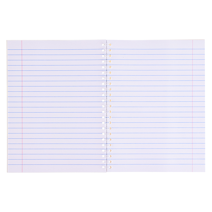 Фото к товару Тетрадь 48л. линейка "Веселая компания" на гребне Тетрадь 48л. линейка "Веселая компания" на гребне