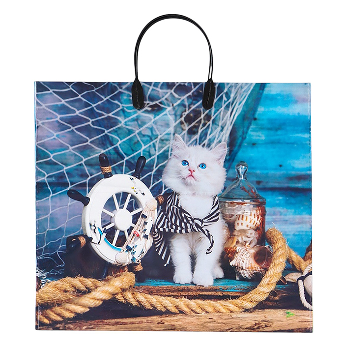 Пакет ПЭ с пластмассовыми ручками 38х34+3см (90) (Матроскин) глянцевый