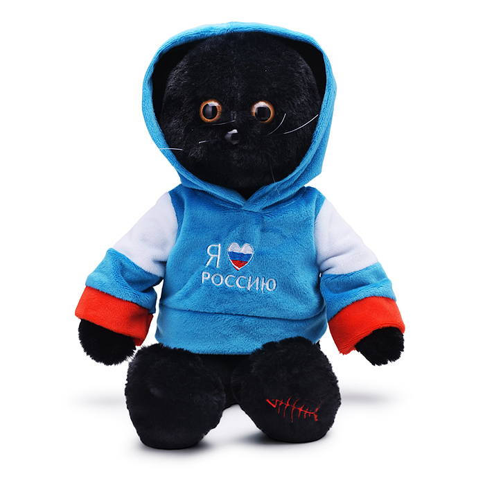 Кот в кофте Россия