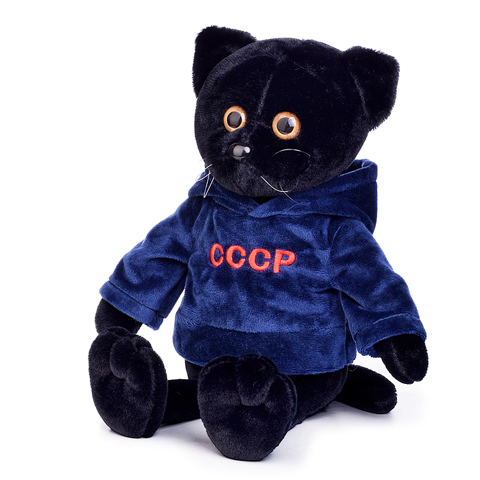 Кот "СССР" в синей кофте 