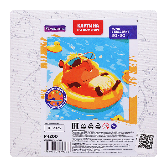 Картина по номерам "Хома в бассейне" 20х20см