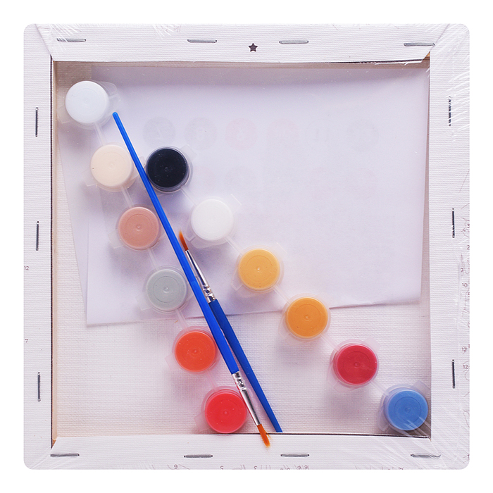 Картина по номерам "Котик на красной площади" 20х20см