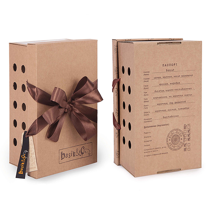 Кот Басик в пижаме