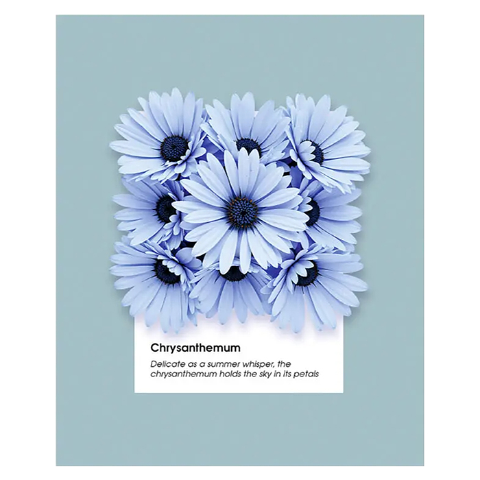 Тетрадь 48л. клетка серая "Гербарий"А5 скрепка