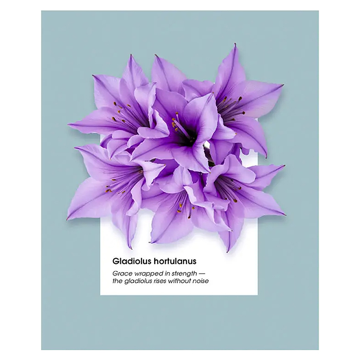 Тетрадь 48л. клетка серая "Гербарий"А5 скрепка