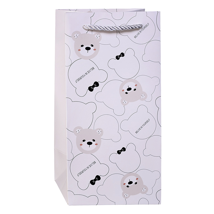 Пакет подарочный 00-7740 "Веселье в упаковке" 24,5*12*10см.