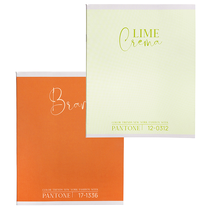 Тетрадь 48л. клетка "Color Trend" А5 скрепка