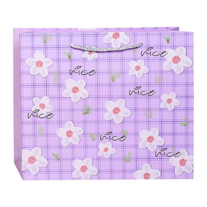 Пакет подарочный 00-7748 "Милый подарочек" 31*25*8см.