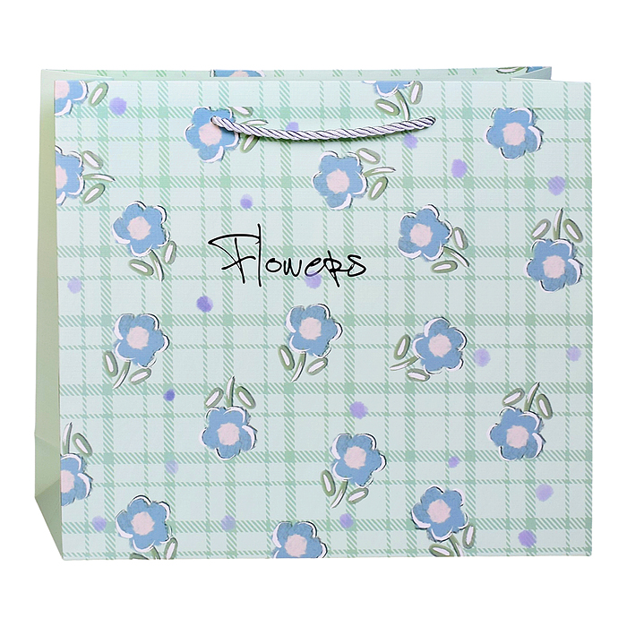 Пакет подарочный 00-7748 "Милый подарочек" 31*25*8см.