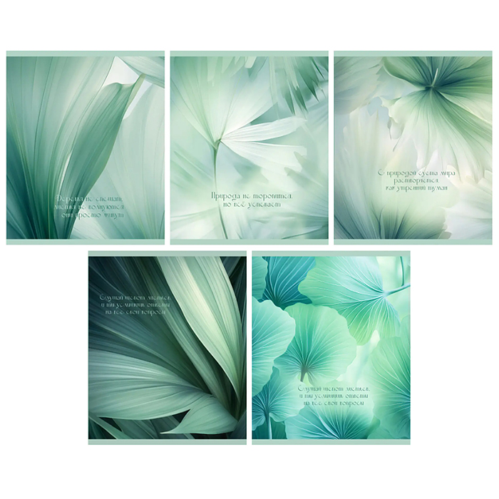 Тетрадь 48л. клетка серая "Шепот листьев" А5 скрепка