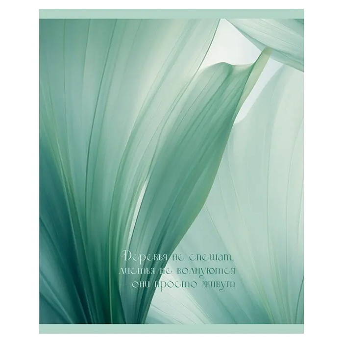 Тетрадь 48л. клетка серая "Шепот листьев" А5 скрепка