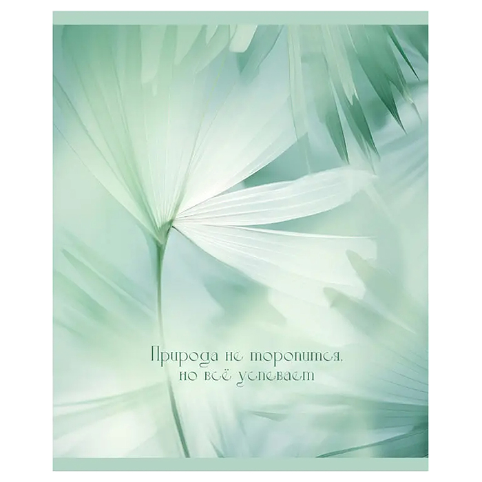 Тетрадь 48л. клетка серая "Шепот листьев" А5 скрепка