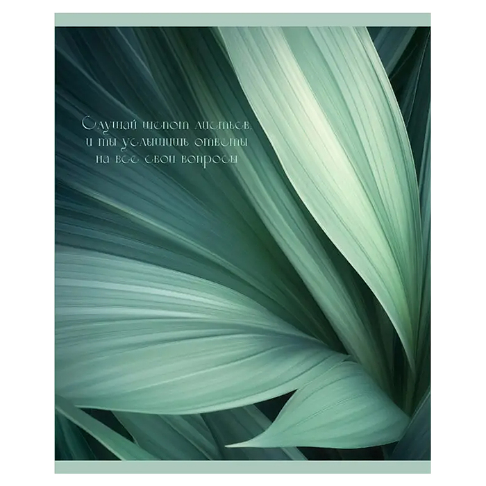 Тетрадь 48л. клетка серая "Шепот листьев" А5 скрепка