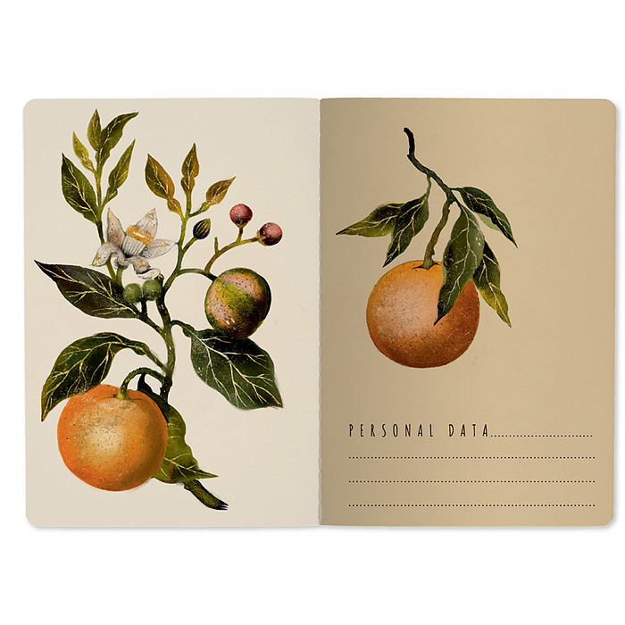 Тетрадь 40л. клетка "Flora. Paradise. Oranges" А5