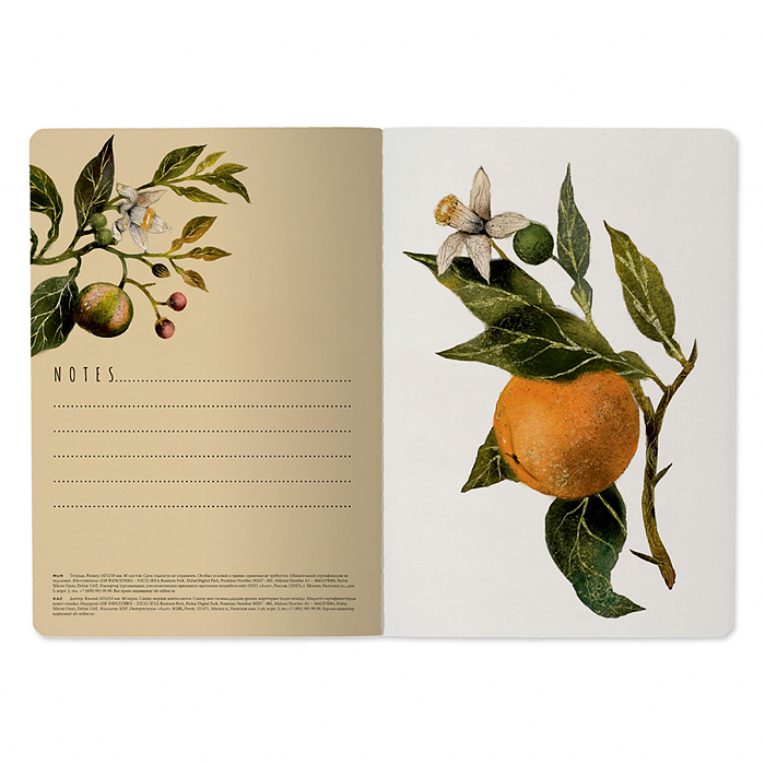 Тетрадь 40л. клетка "Flora. Paradise. Oranges" А5