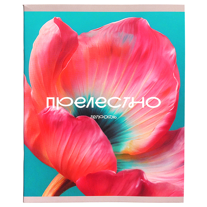 Тетрадь 48л. клетка "Цветение" А5 скрепка