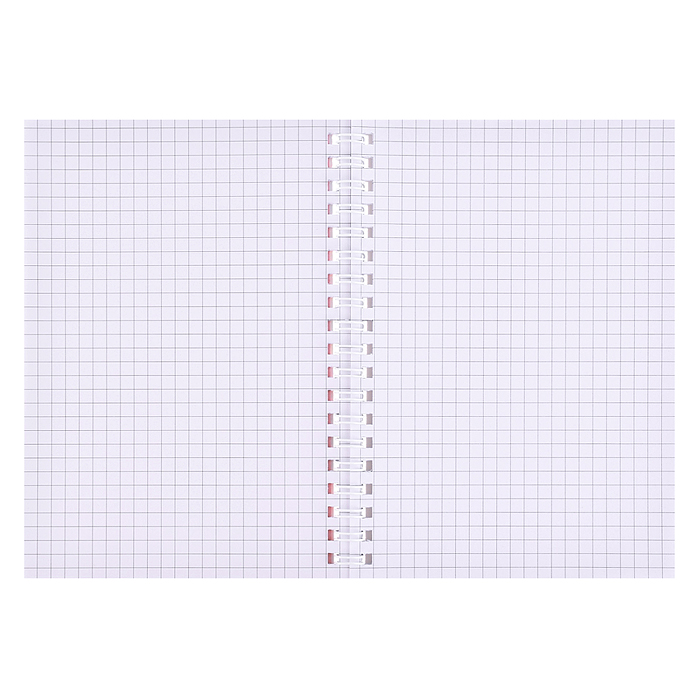 Блокнот на евроспирали "Принцессы" 14.2х20.2 см, 60 л., внутренний блок в клетку