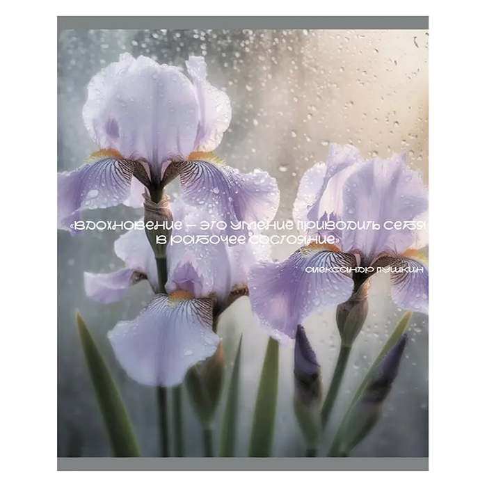 Тетрадь 48л. клетка "После дождя" А5 скрепка