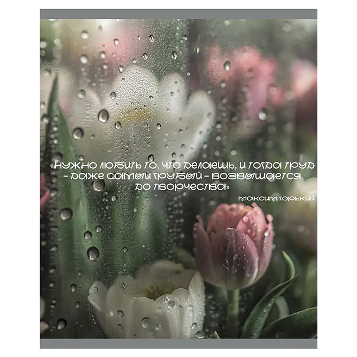 Тетрадь 48л. клетка "После дождя" А5 скрепка