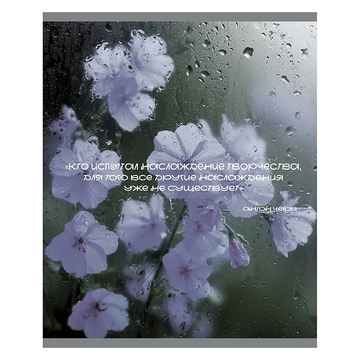 Тетрадь 48л. клетка "После дождя" А5 скрепка