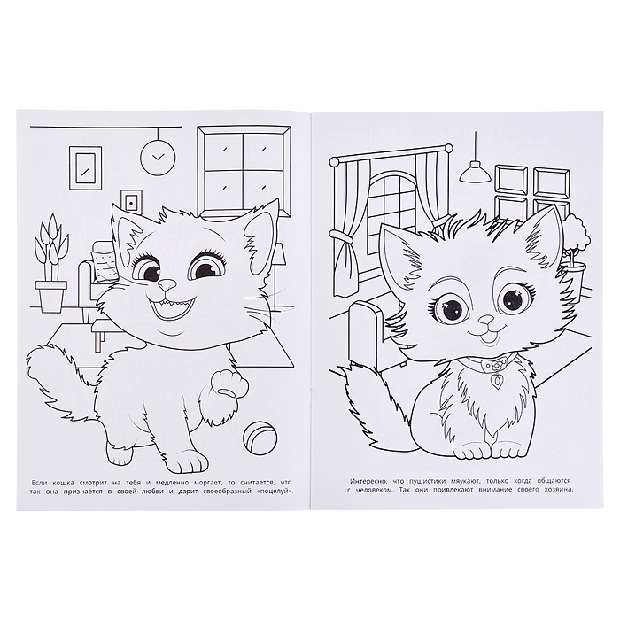 Раскраска "Милые котята"