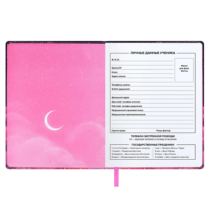 Дневник 1-11кл. "Кошка-принцесса" кожзам. А5+; твёрдый переплёт с поролоном