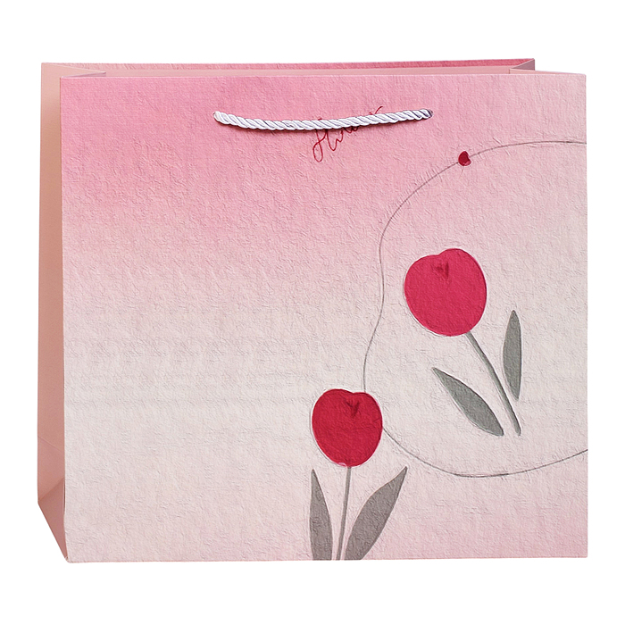 Пакет подарочный 00-7747 "Радужный сюрприз" 31*25*8см.