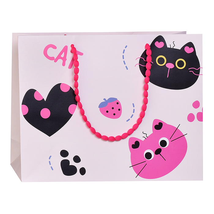 Пакет подарочный 00-7751 "Cat" 33*25*12см.