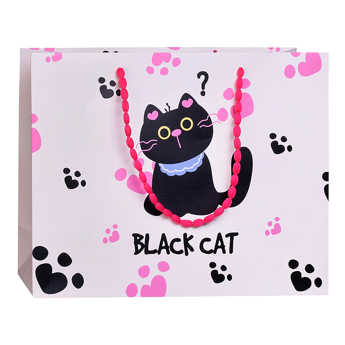 Пакет подарочный 00-7751 "Cat" 33*25*12см.