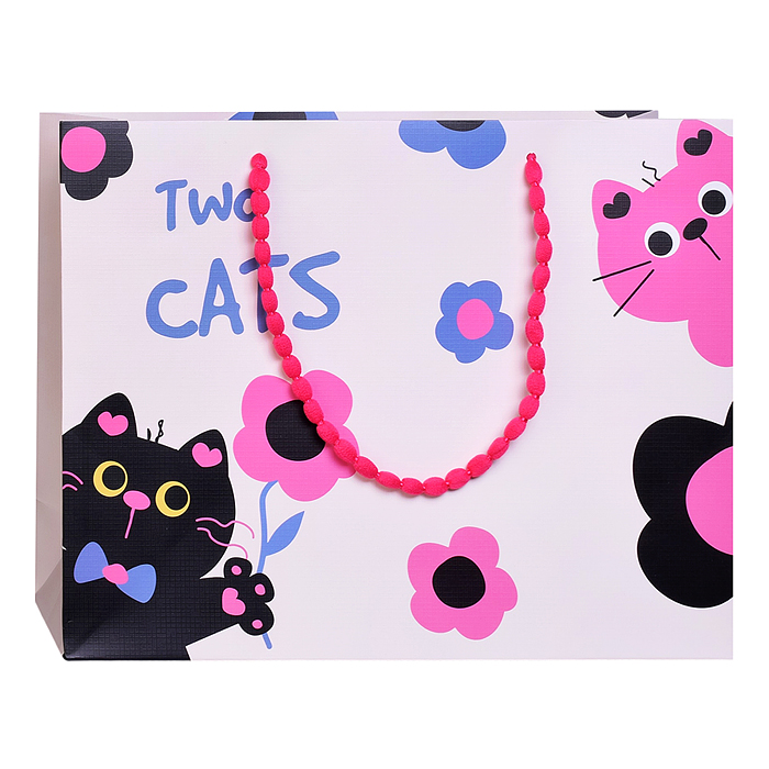 Пакет подарочный 00-7751 "Cat" 33*25*12см.