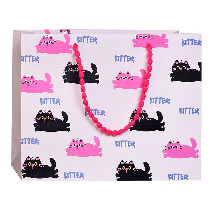 Пакет подарочный 00-7751 "Cat" 33*25*12см.