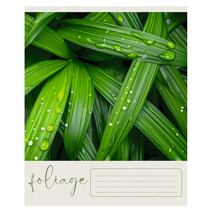 Тетрадь 48л. клетка "Природный код" А5 скрепка