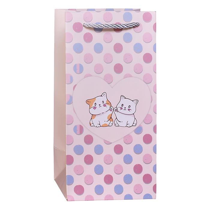 Пакет подарочный 00-7741 "Нежный подарок" 24,5*12*10см.