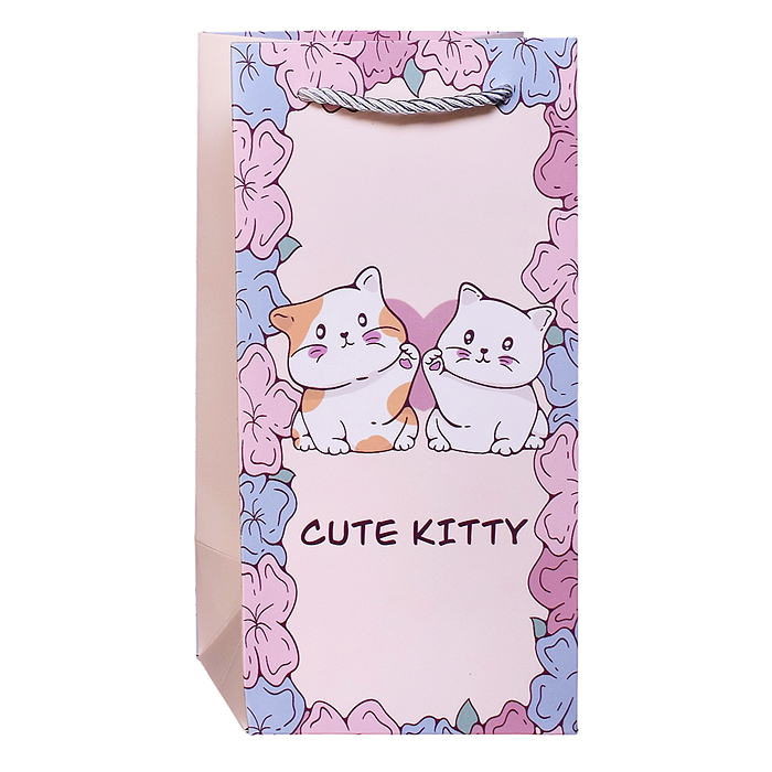 Пакет подарочный 00-7741 "Нежный подарок" 24,5*12*10см.