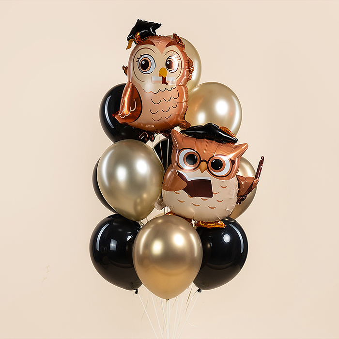 Шар (26''/66 см) Фигура, Сова Выпускник, 1 шт. в уп.