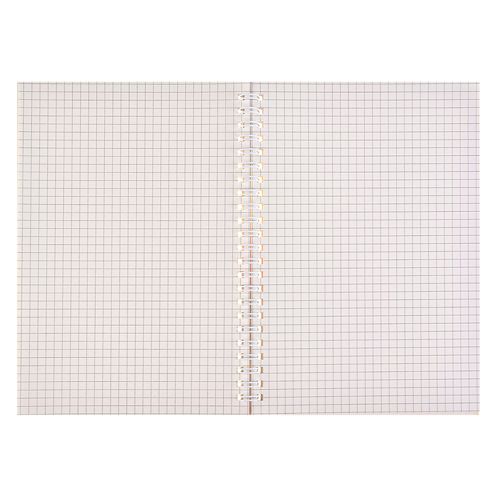 Блокнот на евроспирали "Котята" 14.5x21см, 60 л. внутренний блок в клетку, плотность бумаги 70г/м2