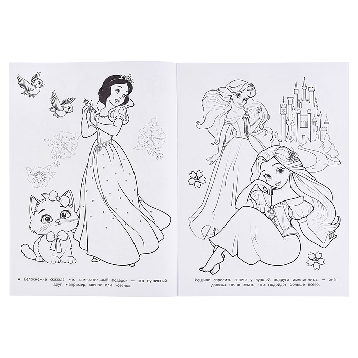 Подарок для принцессы. Бомбическая раскраска