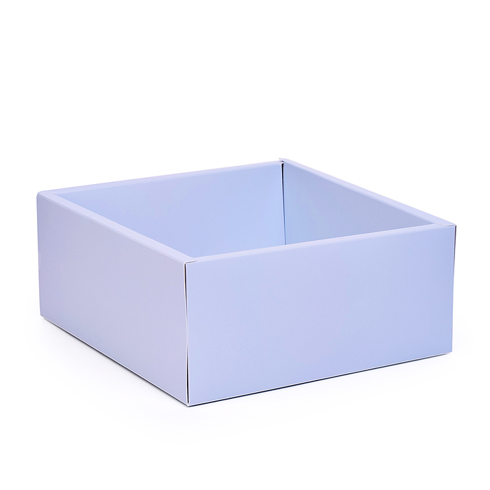 Пакет подарочный 00-7746 "Волшебная коробочка" 20,5*9,5*22,5см.