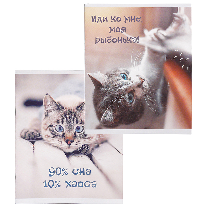 Тетрадь 40л. линия "Кото-терапия" А5 скрепка