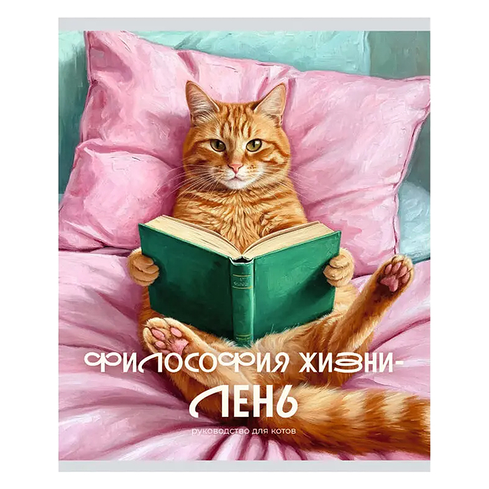 Тетрадь 48л. клетка серая "Кот и лень" А5 скрепка