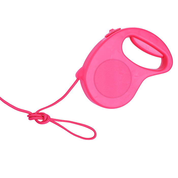 Лошадка 00-7294 "Басси" (ходит, поет) в пакете